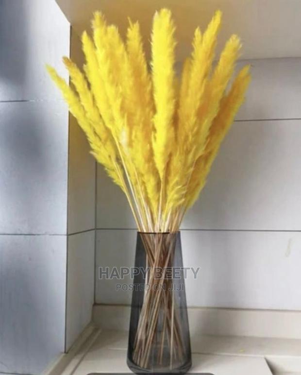 Mini Pampas Grass - main view