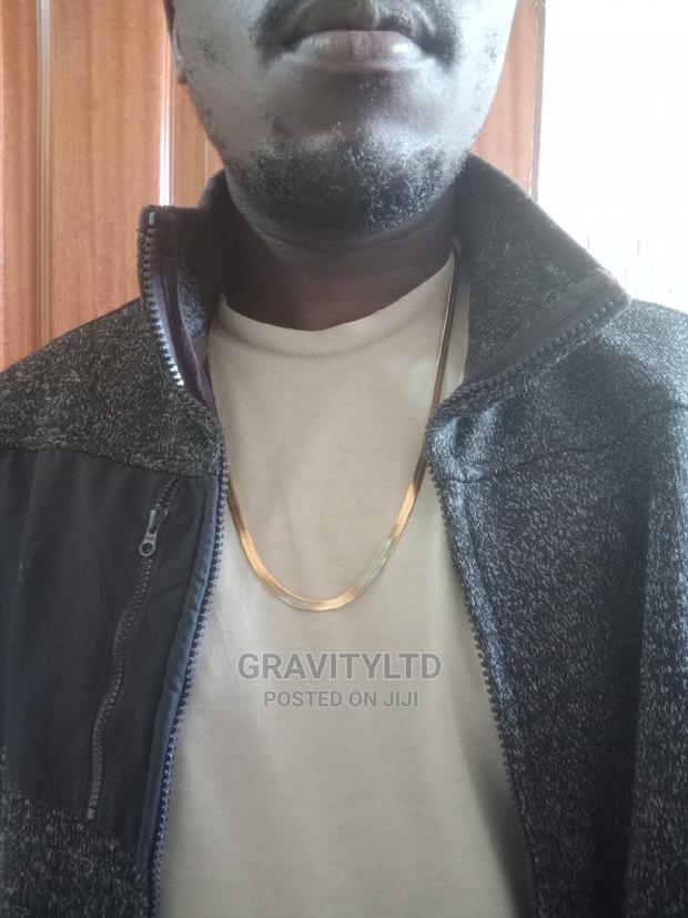 Stainless Steel Snake Chains - main view