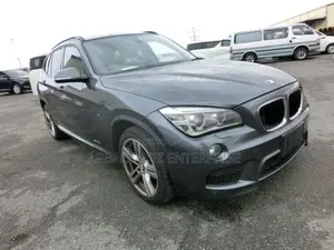 BMW X1 2015 Gray