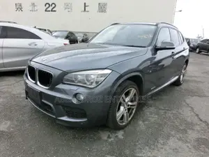 BMW X1 2015 Gray