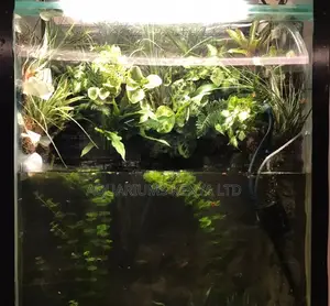 Aquarium Paludarium Setup