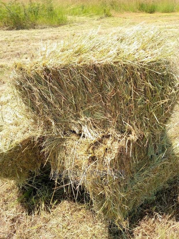 Pure Bomarhode Hay - main view