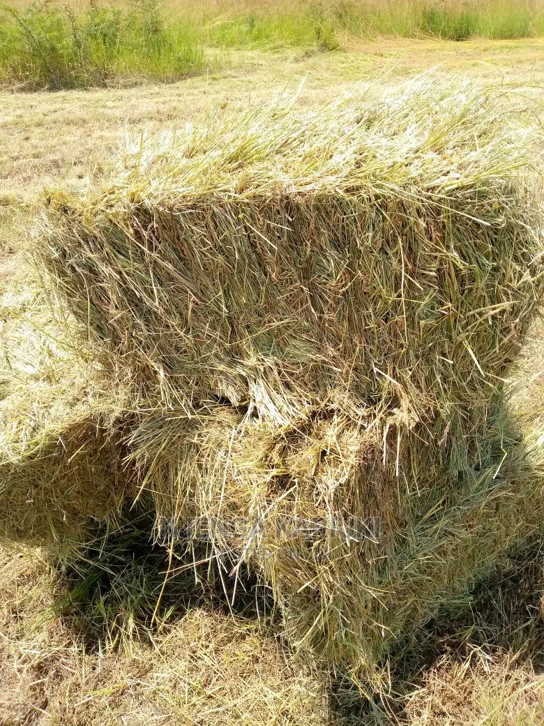 Pure Bomarhode Hay