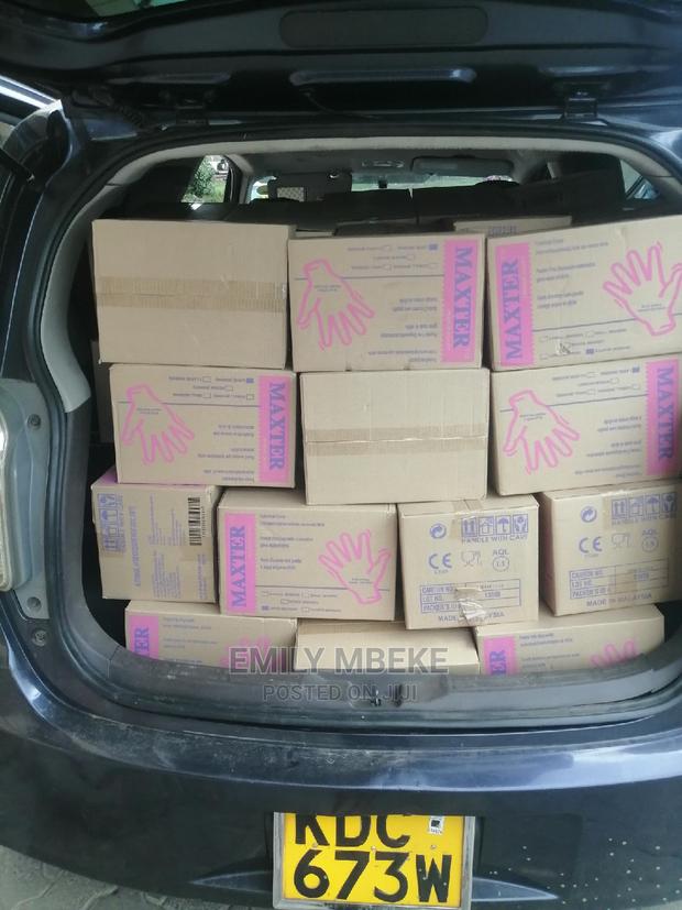 Maxter Nitrile Gloves - main view