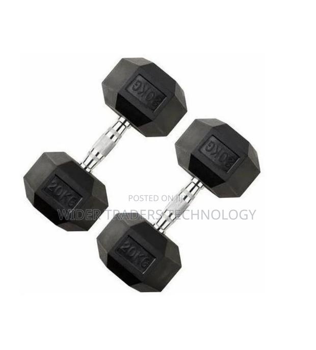 Hexagon Quality 20kg Dumbbells - main view