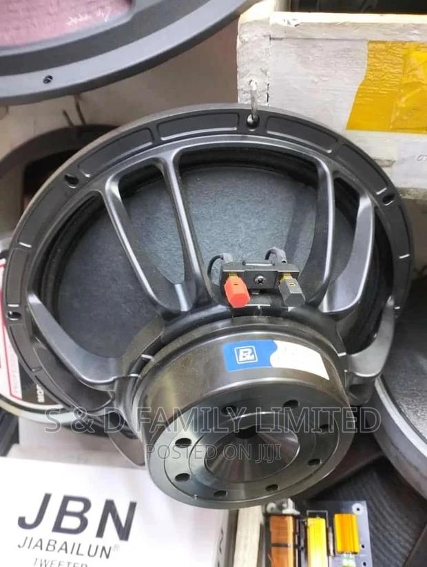 BM 12 Inch Neodymium Speaker