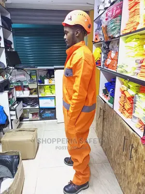 Ordinary Overall