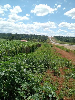 2 Points Touching Tarmac Kapseret - main view