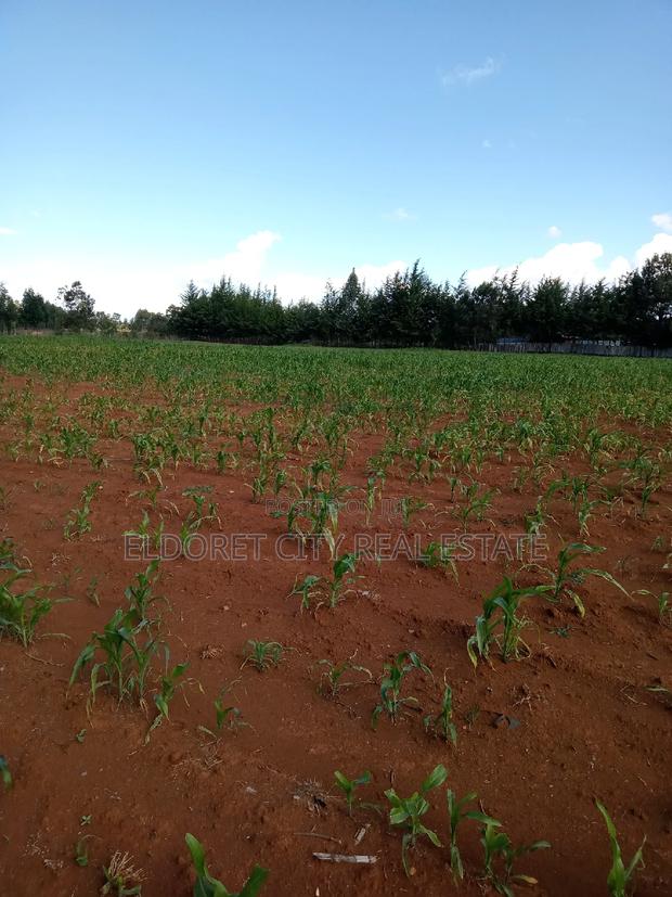 4 Acres Cheplasgei With Title