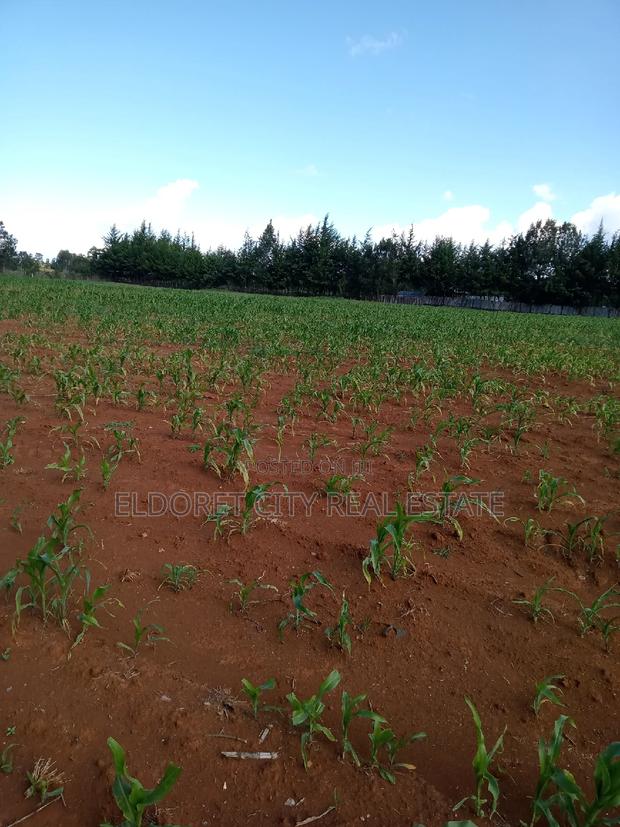 4 Acres Cheplasgei With Title - thumbnail 2