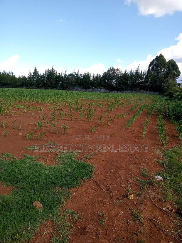 4 Acres Cheplasgei With Title - thumbnail 3