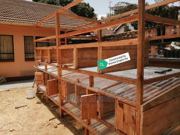 Rabbit Cage / House - thumbnail 2