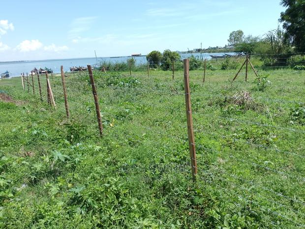 A Plot of 50*100 for Sale - thumbnail 4