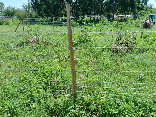 A Plot of 50*100 for Sale - thumbnail 3