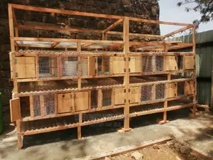 Rabbit Cage / House