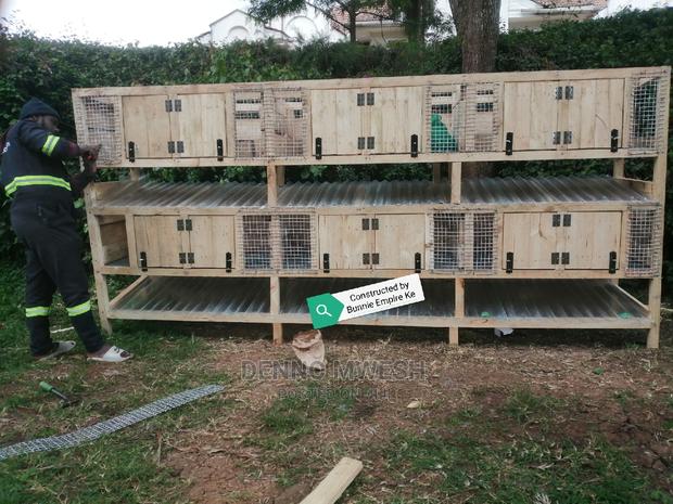 Rabbit Cage / House - thumbnail 9