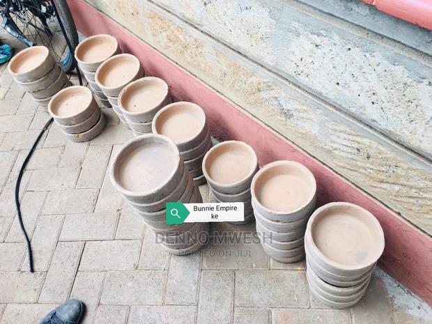 Rabbits /Hybrid - thumbnail 9