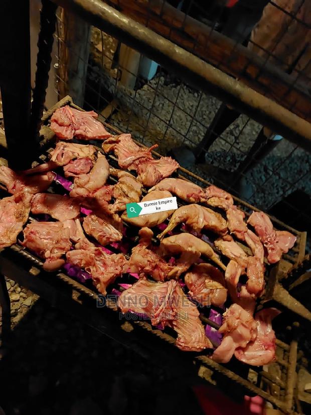 Rabbits /Hybrid - thumbnail 11