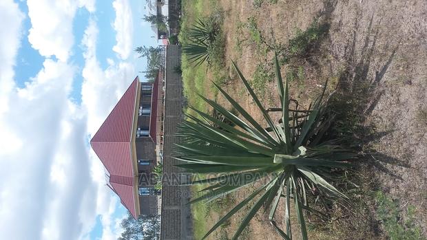 Plots for Sale in Katani With Ready Title Deeds - thumbnail 3