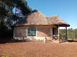 Home Cool Shade of Makuti Roofing