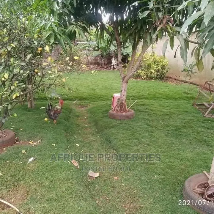 4bdrm Mansion in Muthaiga North for rent in Muthaiga North Houses