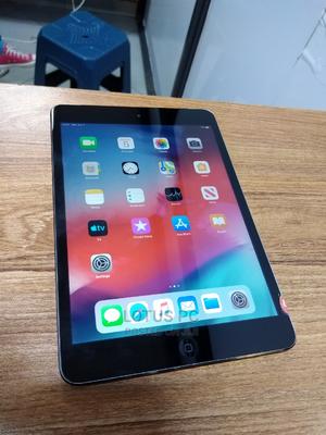 Apple iPad mini Wi-Fi + Cellular 16 GB Gray - main view