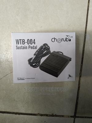 Sustain Pedal Wtb-004 - thumbnail 2