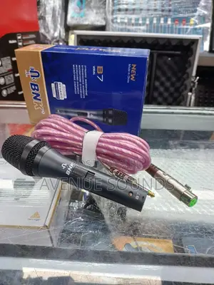 BNK Coded/Wired Microphone