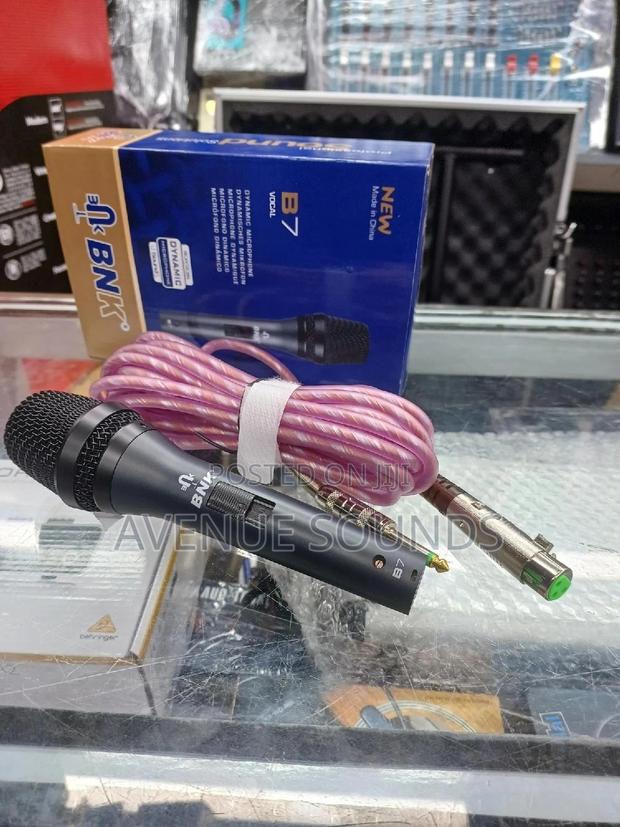BNK Coded/Wired Microphone - main view