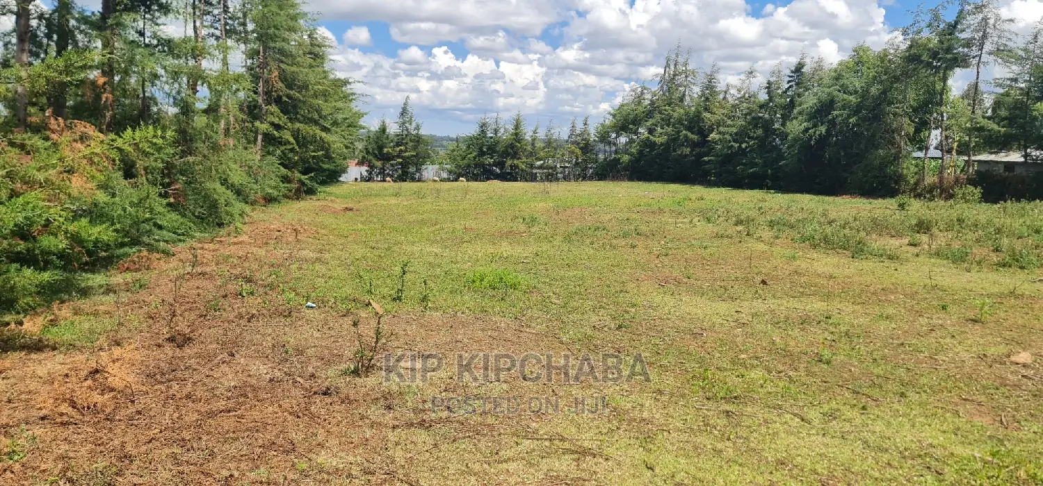Plots for Sale in Mountainview Kipkorgot in Eldoret