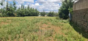 Plots for Sale in Mountainview Kipkorgot in Eldoret