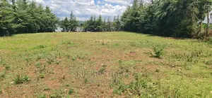 Plots for Sale in Mountainview Kipkorgot in Eldoret