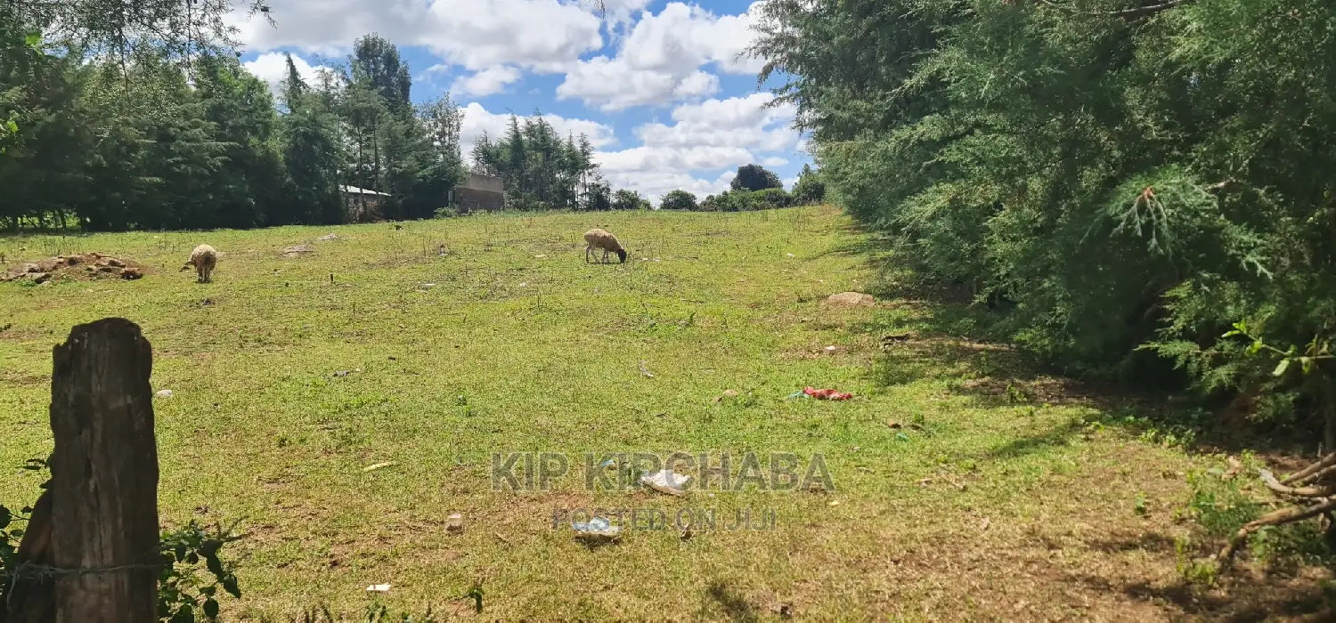 Plots for Sale in Mountainview Kipkorgot in Eldoret