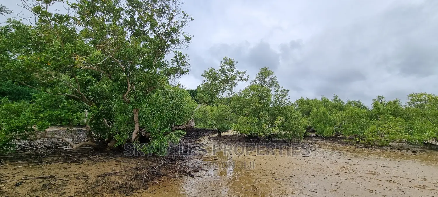 First Row Creek Beach Mtwapa,6 Acres On Sale