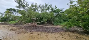 First Row Creek Beach Mtwapa,6 Acres On Sale