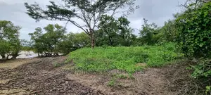 First Row Creek Beach Mtwapa,6 Acres On Sale