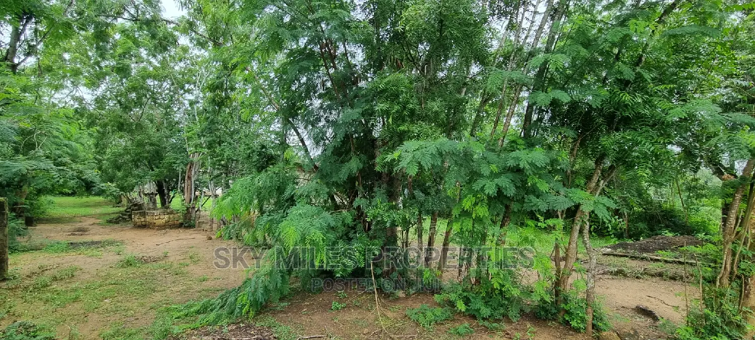 First Row Creek Beach Mtwapa,6 Acres On Sale