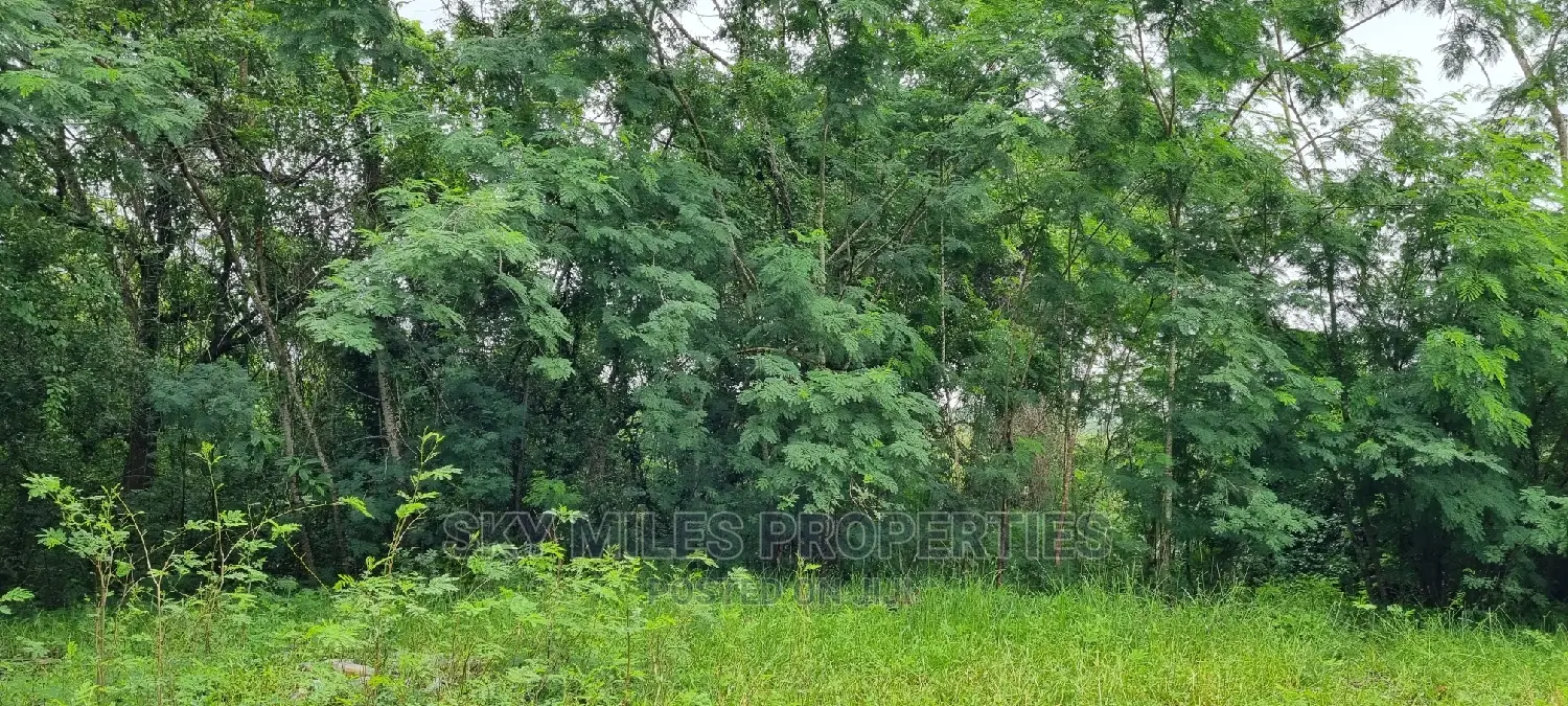 First Row Creek Beach Mtwapa,6 Acres On Sale