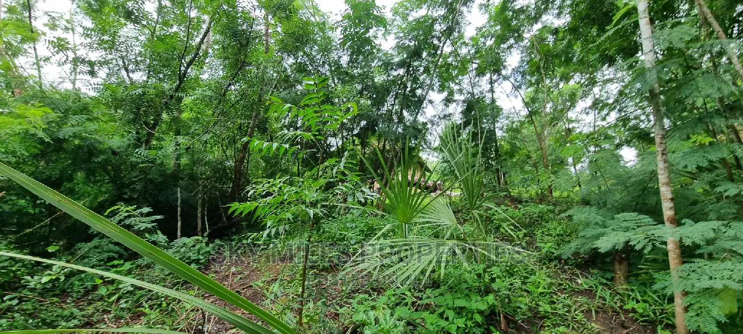 First Row Creek Beach Mtwapa,6 Acres On Sale