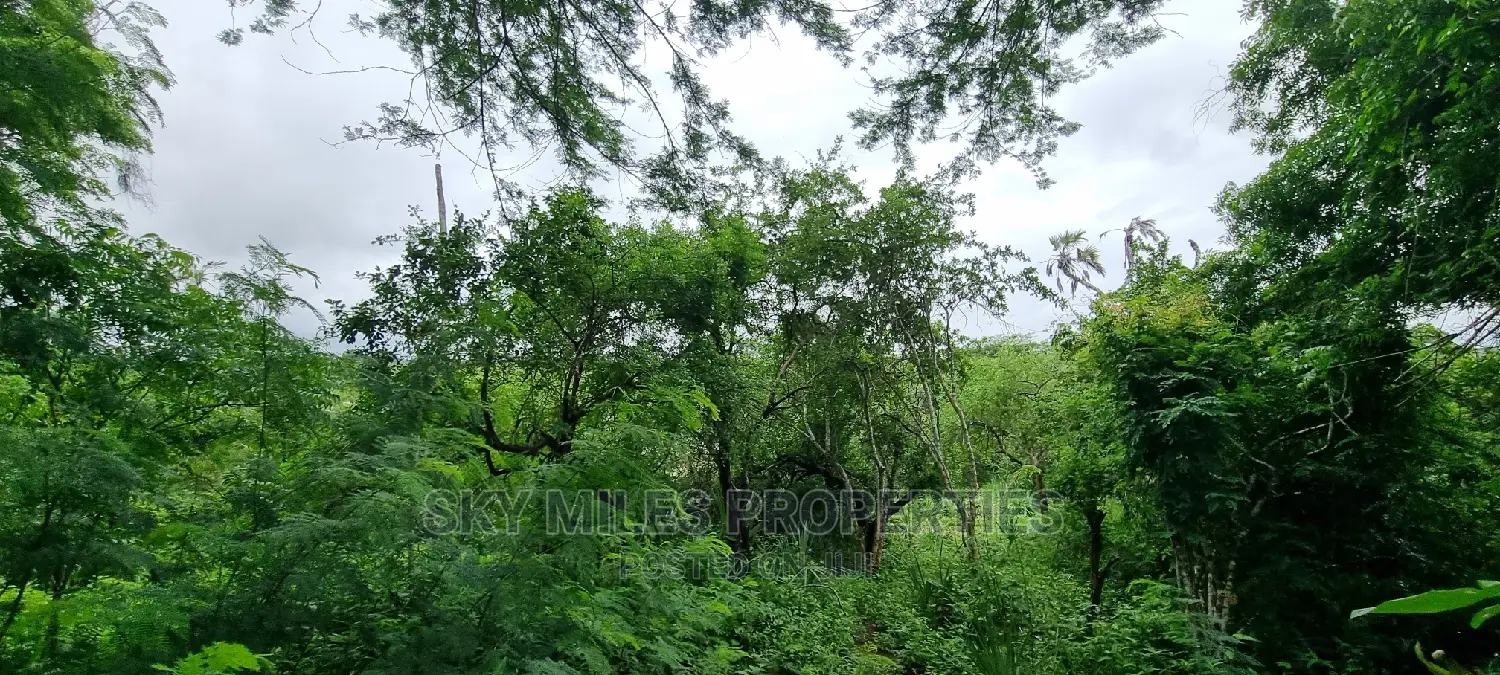 First Row Creek Beach Mtwapa,6 Acres On Sale