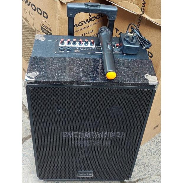 12000 Watts Tagwood Trolley Outdoor Speakers Available