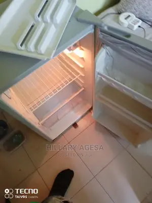 Repair Fridges/Freezers