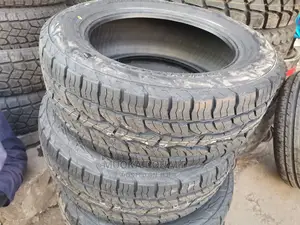 255/55r18 Dunlop Tyre (A/T