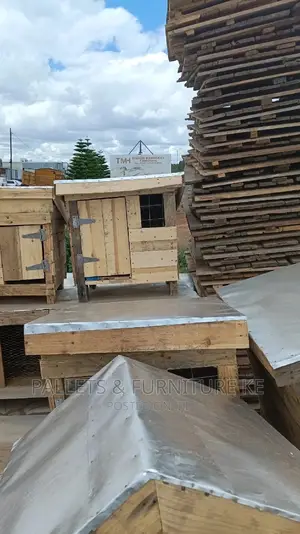 Chihuahua House/ Kennels