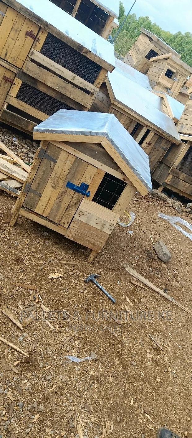 Dog Cages 065 - main view