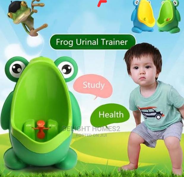 Cute Frog Boys Urinal