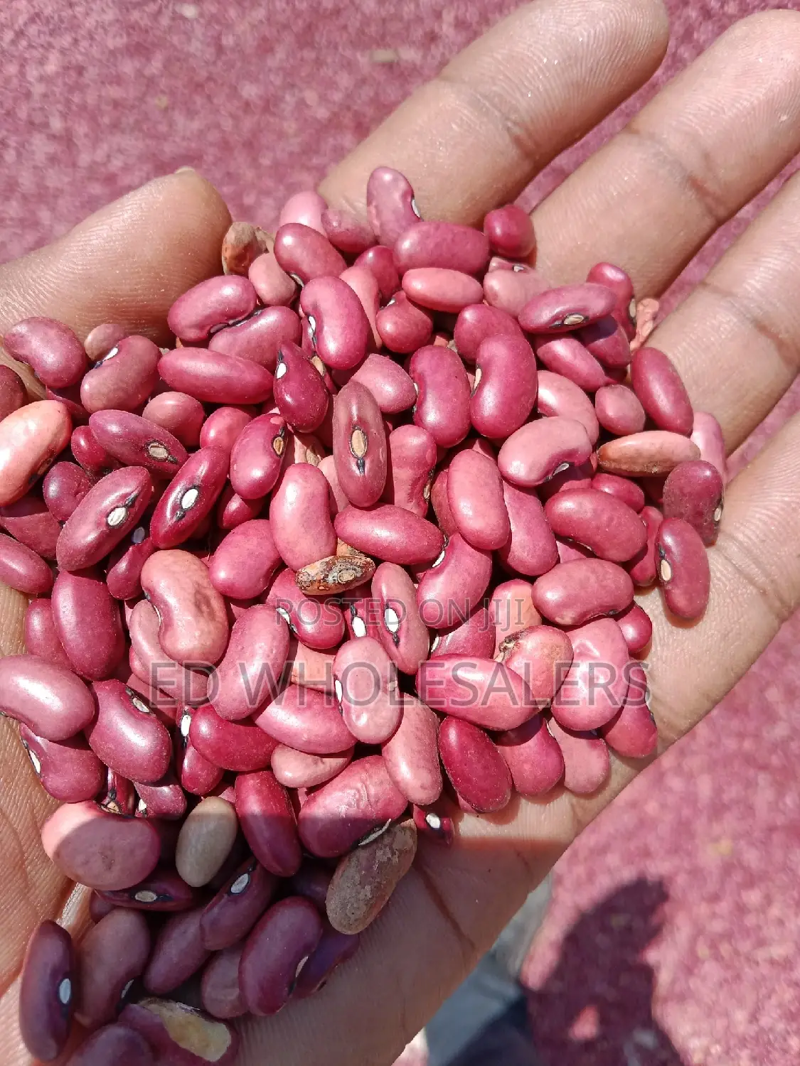 Wairimu Newly Harvested