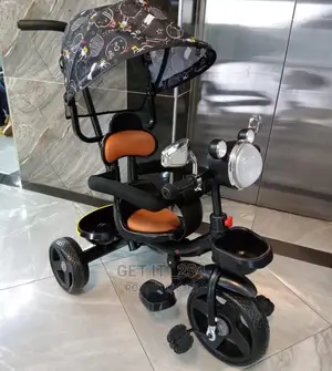 Musical Tricycle With Canopy, Parental Control Handle, L