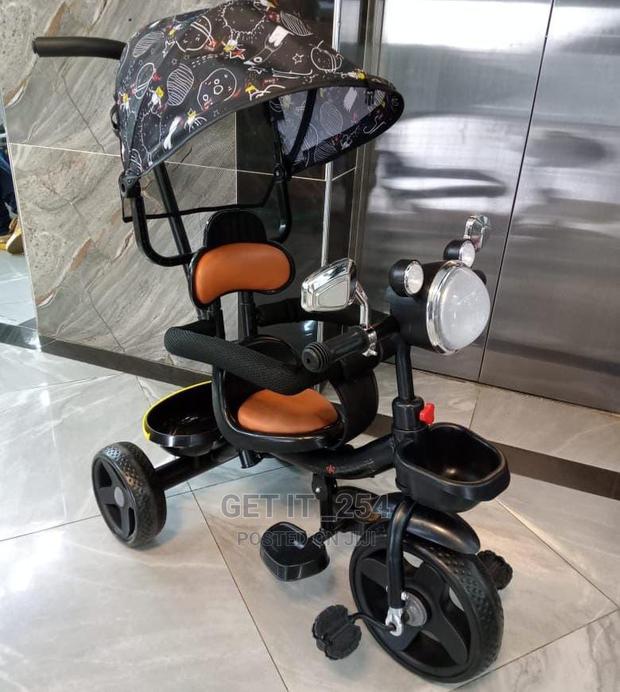 Musical Tricycle With Canopy, Parental Control Handle, L - main view