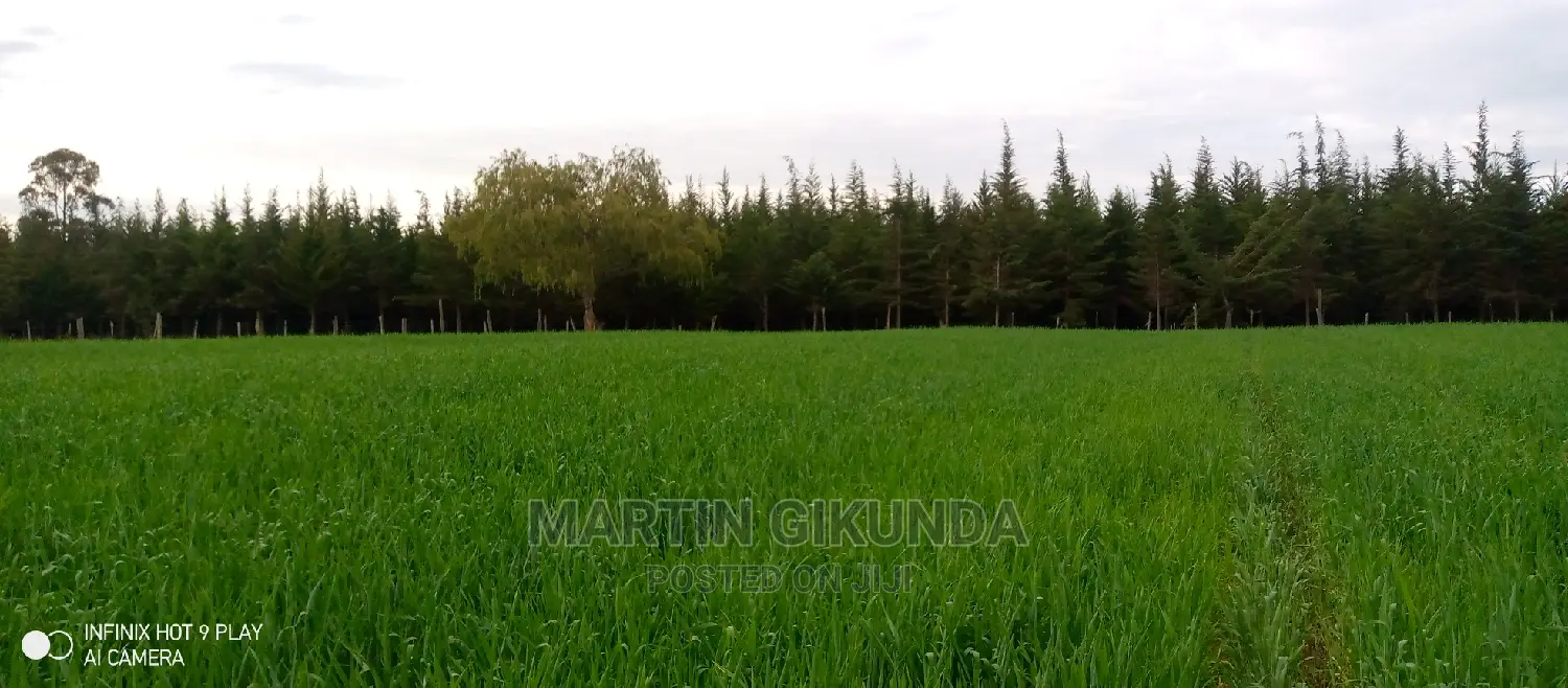 Narumoro Land, 5 Acre Land